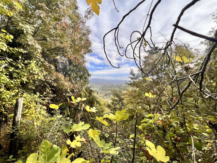 Image No.17-Maison de 2 chambres à vendre à Caprese Michelangelo