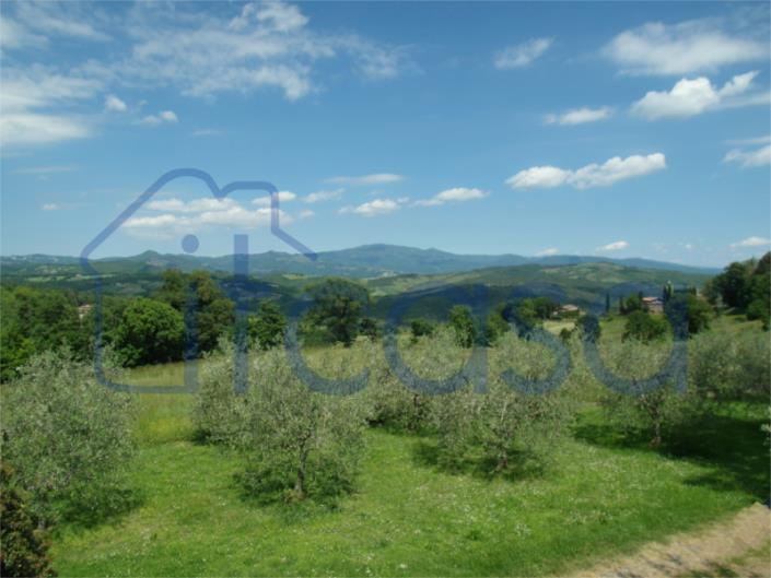 Image No.11-Ferme de 2 chambres à vendre à Caprese Michelangelo