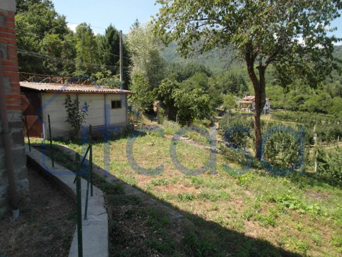 Image No.12-Ferme de 2 chambres à vendre à Caprese Michelangelo