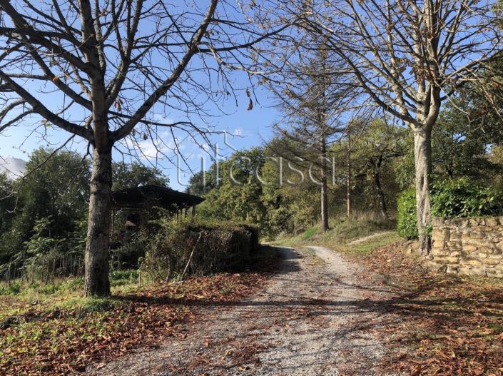 Image No.11-Ferme de 3 chambres à vendre à Anghiari