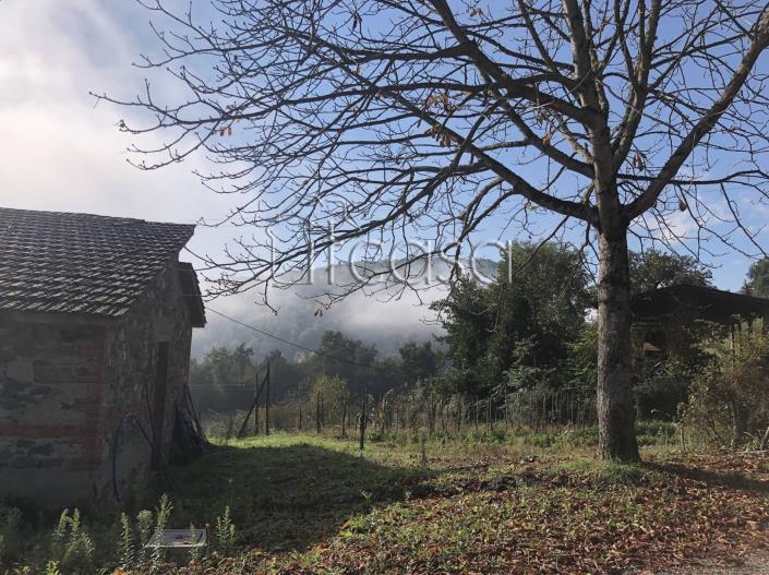 Image No.12-Ferme de 3 chambres à vendre à Anghiari
