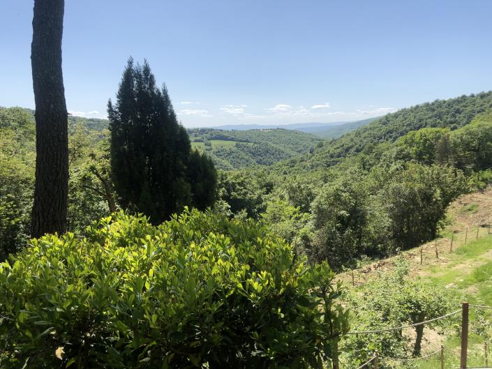 Image No.11-Appartement de 1 chambre à vendre à Anghiari