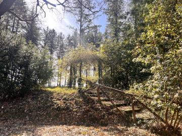 15--A295-Garden5