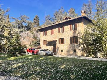 16--A295-Villa