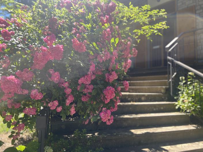 Image No.23-Maison / Villa de 2 chambres à vendre à Caprese Michelangelo