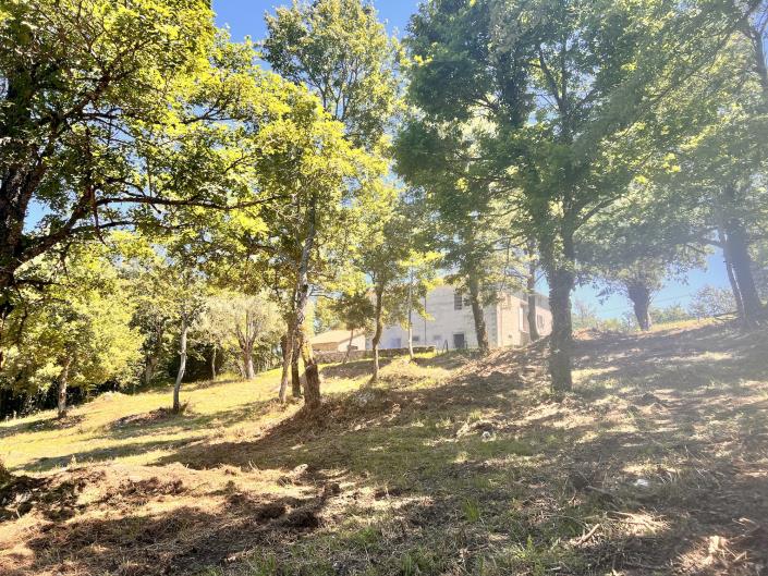 Image No.46-4 Bed Country Property for sale