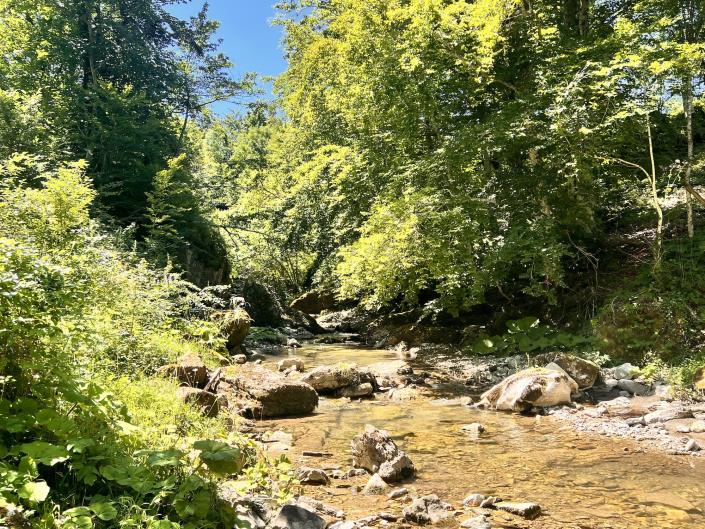 Image No.47-4 Bed Country Property for sale