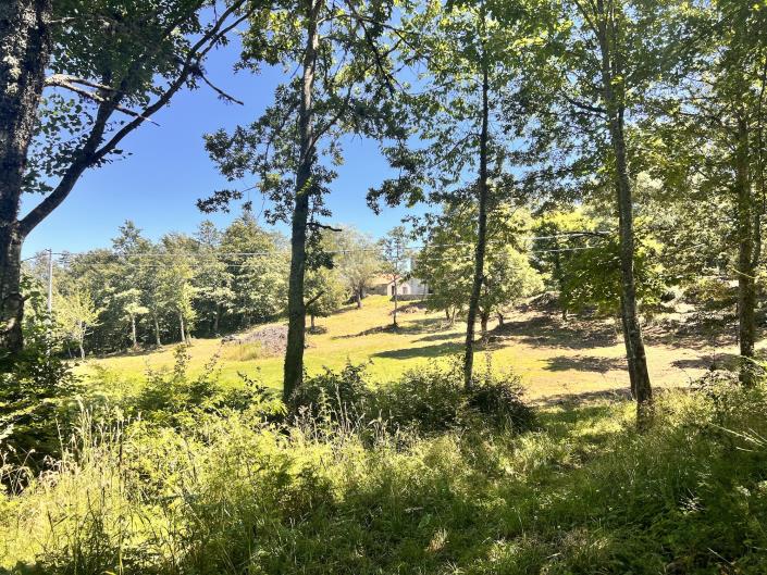 Image No.43-4 Bed Country Property for sale