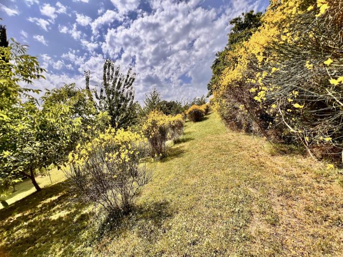 Image No.18-Appartement de 2 chambres à vendre à Anghiari
