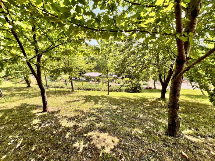 Image No.19-Appartement de 2 chambres à vendre à Anghiari