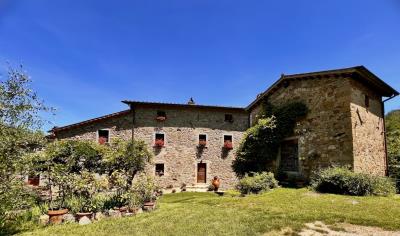 A349-Casale-Daniela-