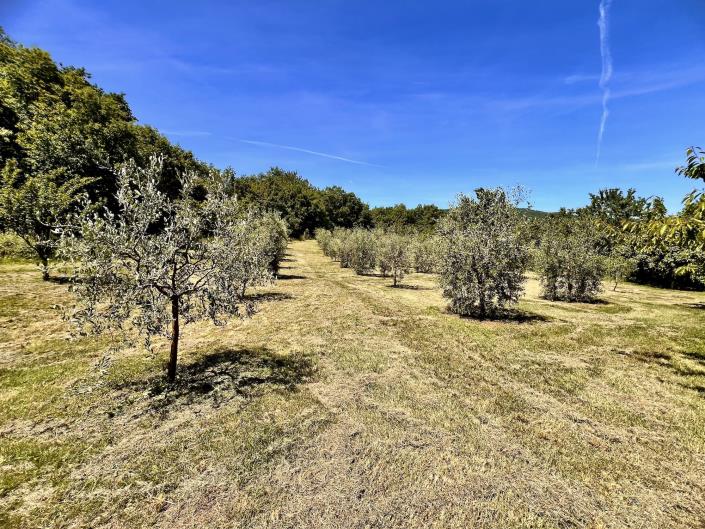 Image No.60-3 Bed Farmhouse for sale