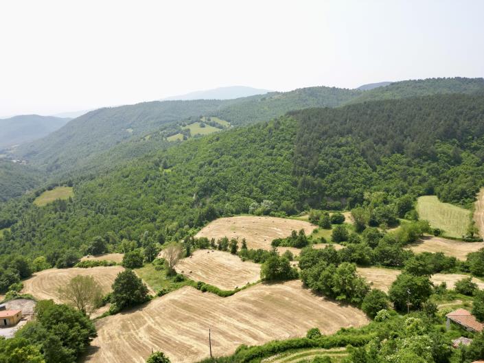 Image No.39-Propriété de pays de 3 chambres à vendre à Chiusi della Verna