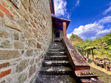 8-Casa-panorama-steps