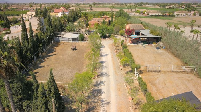 Image No.53-Propriété de pays de 7 chambres à vendre à Catral