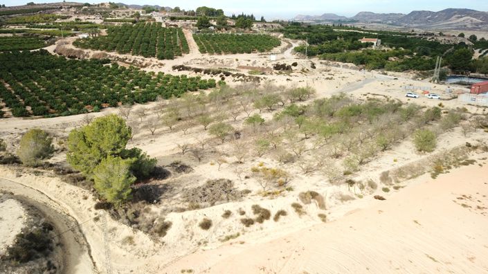 Image No.8-Propriété à vendre à Torremendo