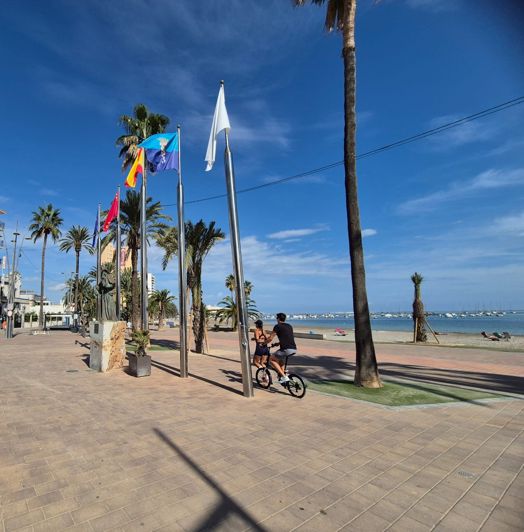 Image No.34-3 Bed Villa for sale