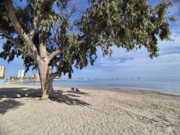 o1jeorhq7fonqcer1o1l7g3v3h1d