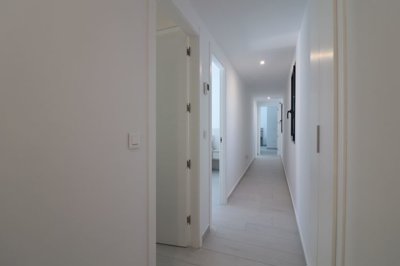 o1jl6q5r4eclq195veae1viof842h