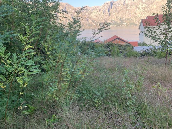 Image No.4-Land for sale