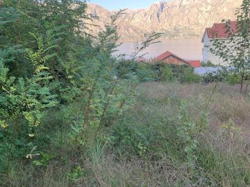 IMG-9432