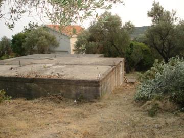 DSC02655