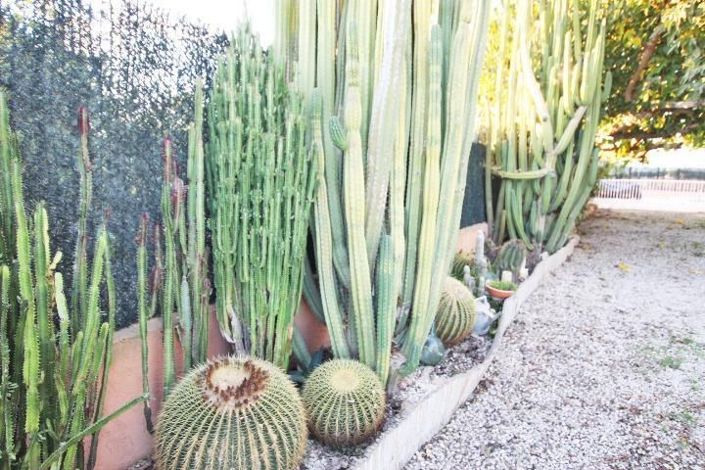 Image No.32-5 Bed Villa for sale