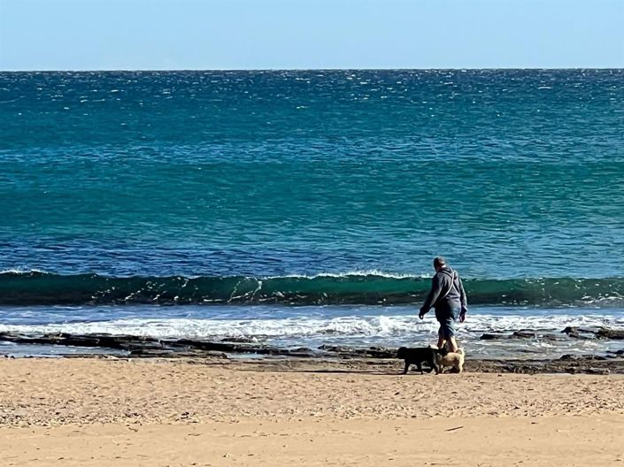 Image No.30-Maison de 3 chambres à vendre à Torrevieja
