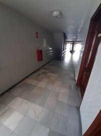 20256481