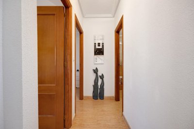 20266304