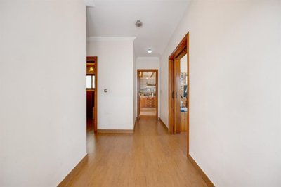 20409569