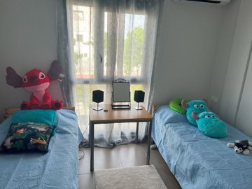 20403633