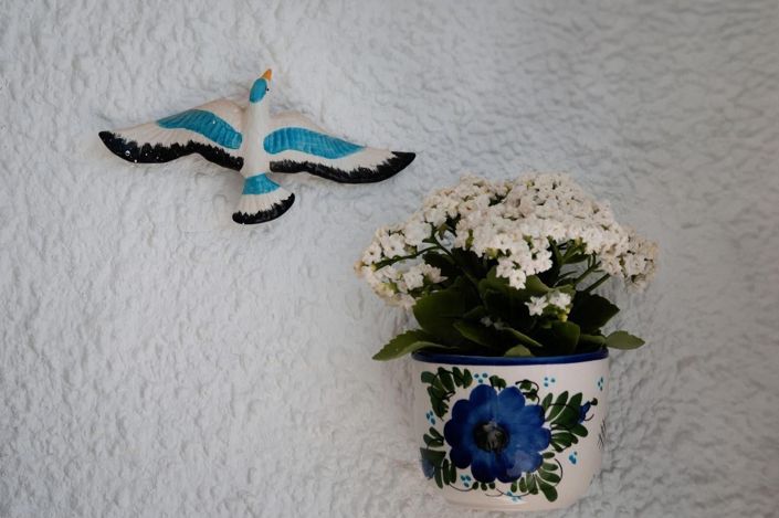 Image No.11-Bungalow de 1 chambre à vendre à Torrevieja