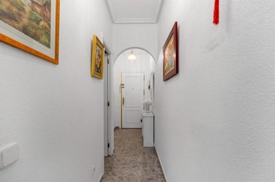 20436346