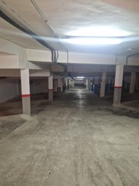 20436513