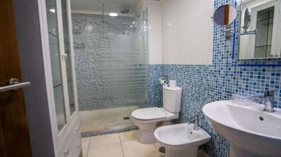 20537833