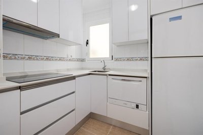 20584599