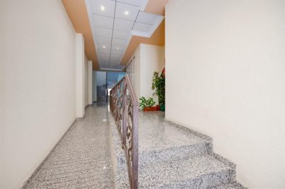 20584596