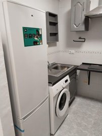 20604519