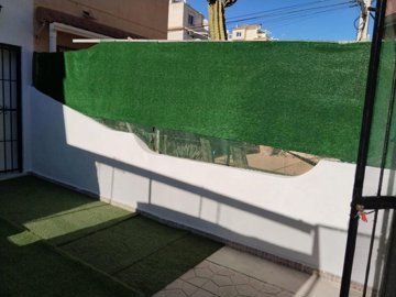 20604526