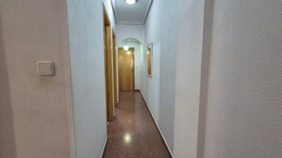 20623351
