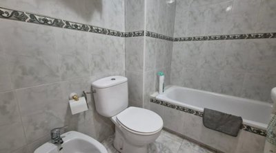 20623353