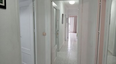 20863393