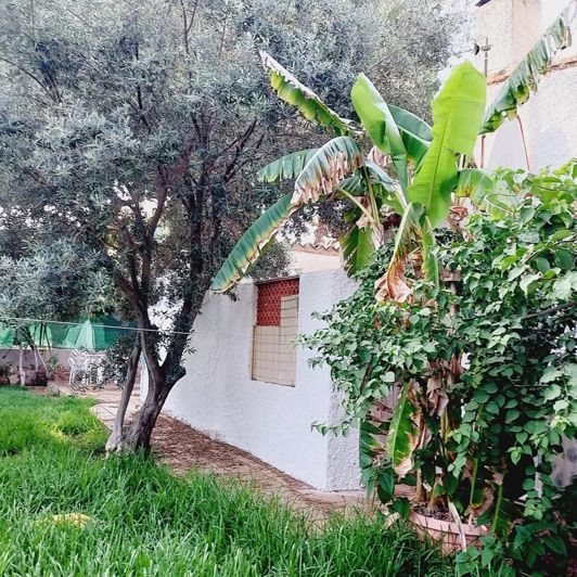 Image No.26-Villa de 4 chambres à vendre à Torrevieja