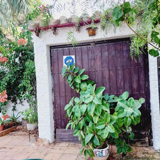 Image No.53-Villa de 4 chambres à vendre à Torrevieja