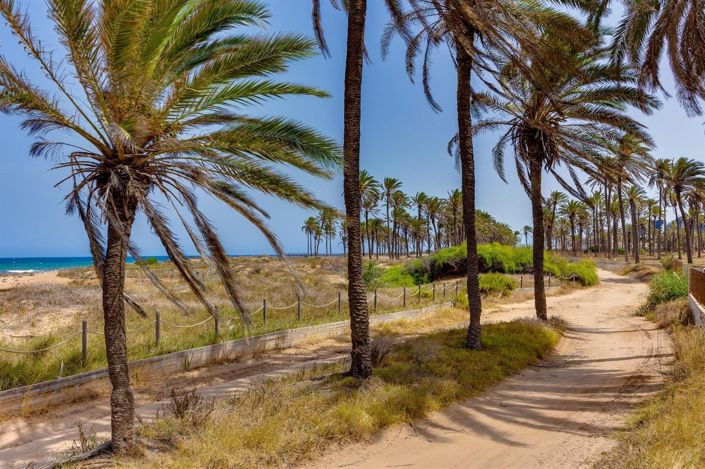 Image No.33-Bungalow de 4 chambres à vendre à Torrevieja
