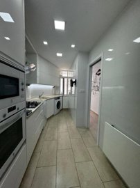 21454699