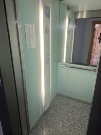 21490181
