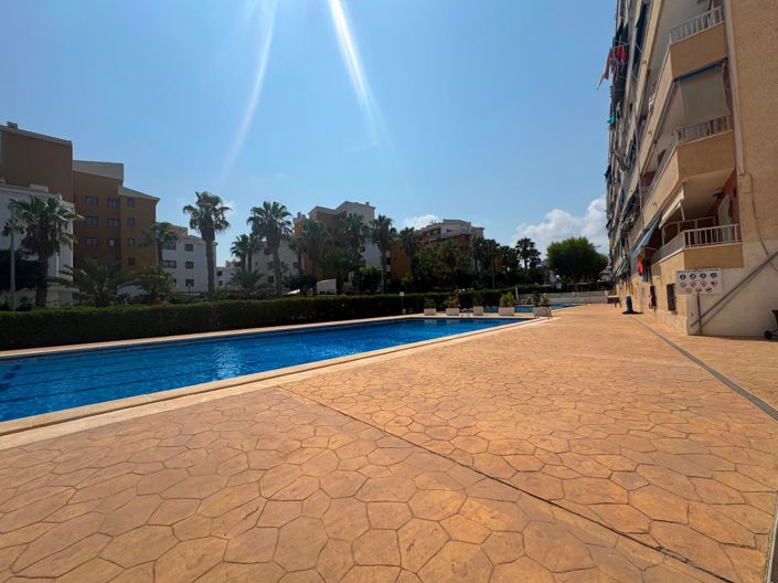 Image No.39-Penthouse de 3 chambres à vendre à Torrevieja