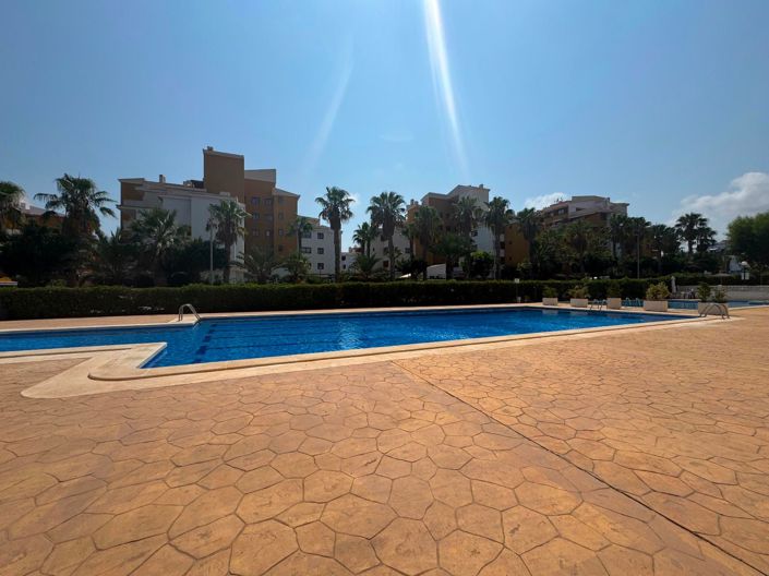 Image No.40-Penthouse de 3 chambres à vendre à Torrevieja